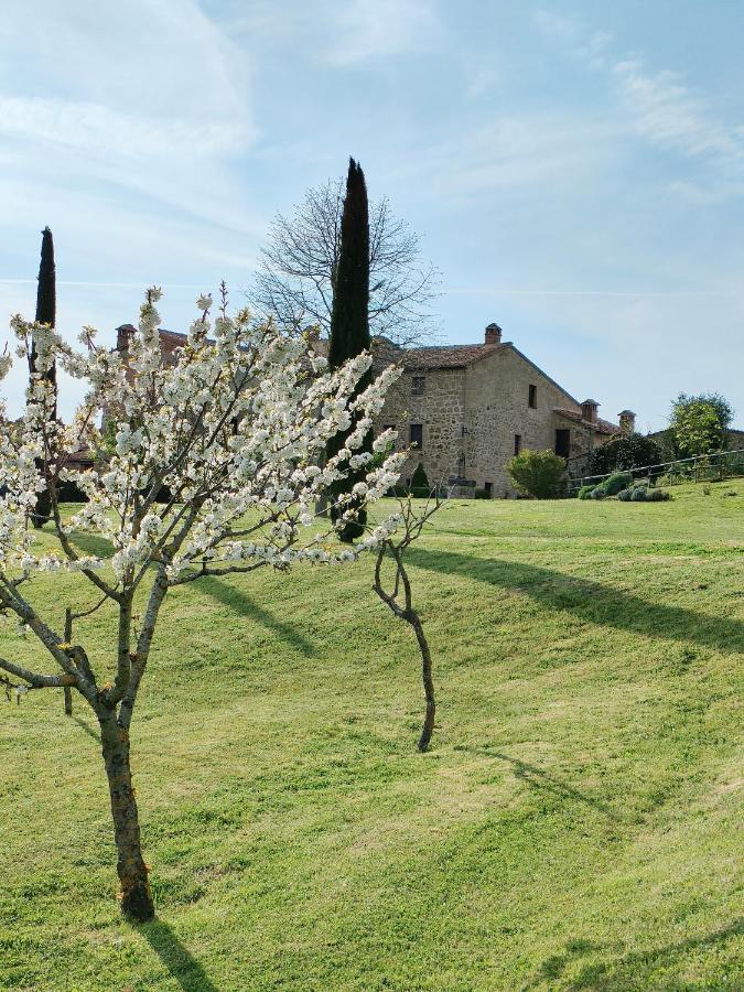 Appartement Casa Mae à Sarteano Extérieur photo